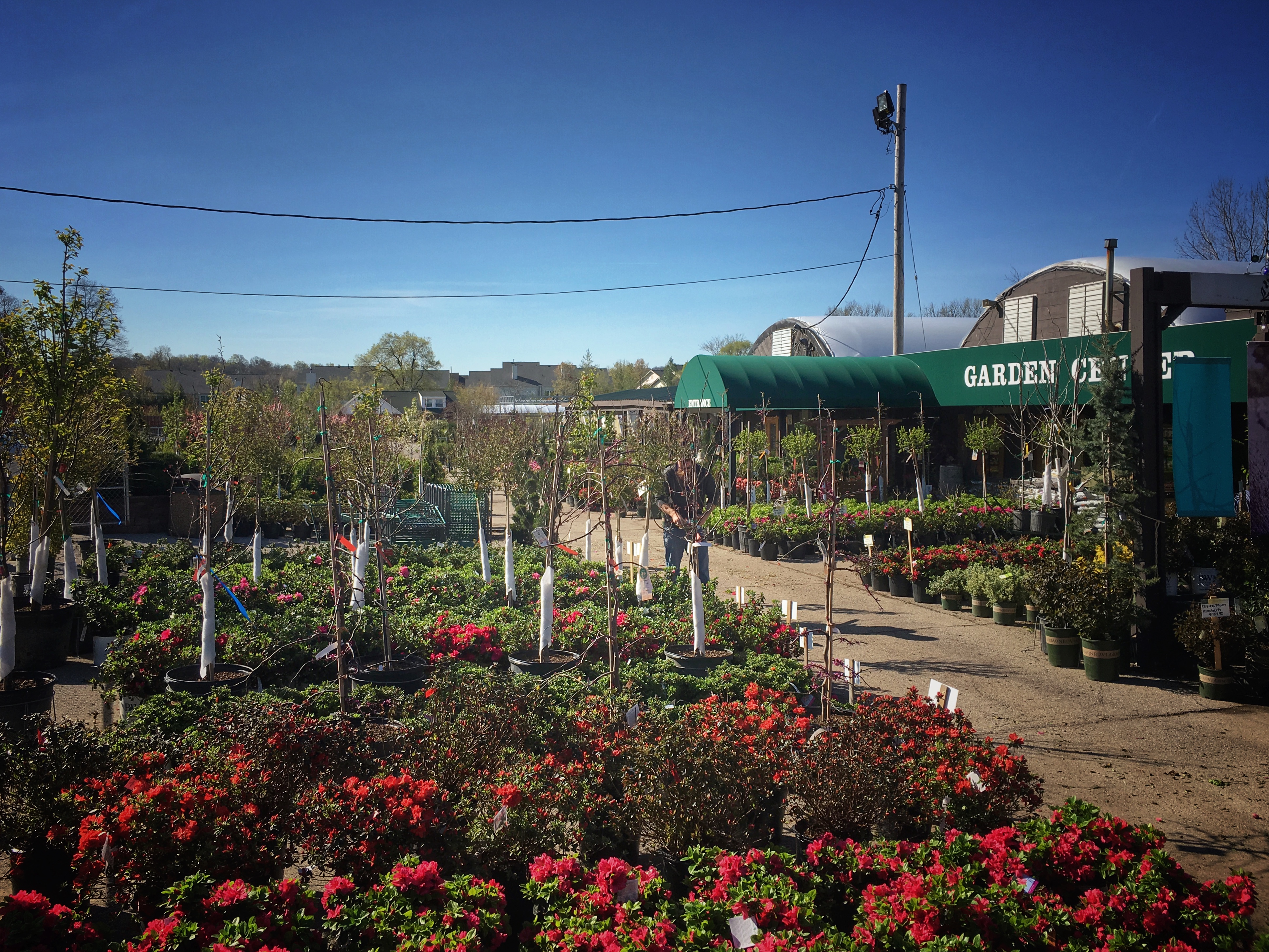 to Sherwood's Forest Nursery and Garden Center